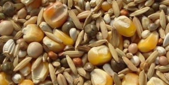 飼料生產(chǎn)實驗室儀器設備清單(圖1) 飼料生產(chǎn)實驗室儀器設備清單(圖1)